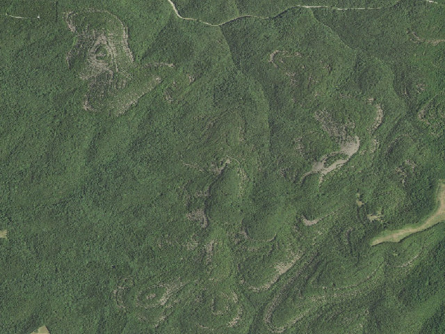 Aerial image of Dispersed camp #5 — Taney County, MO
