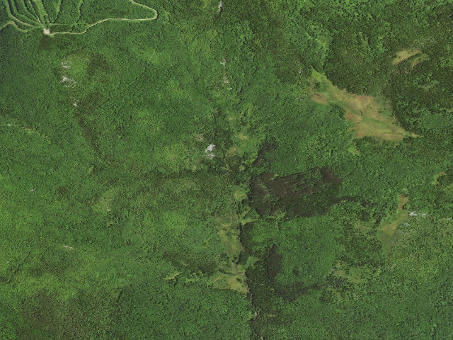 Aerial image of Dispersed camp #5 — Tucker County, WV
