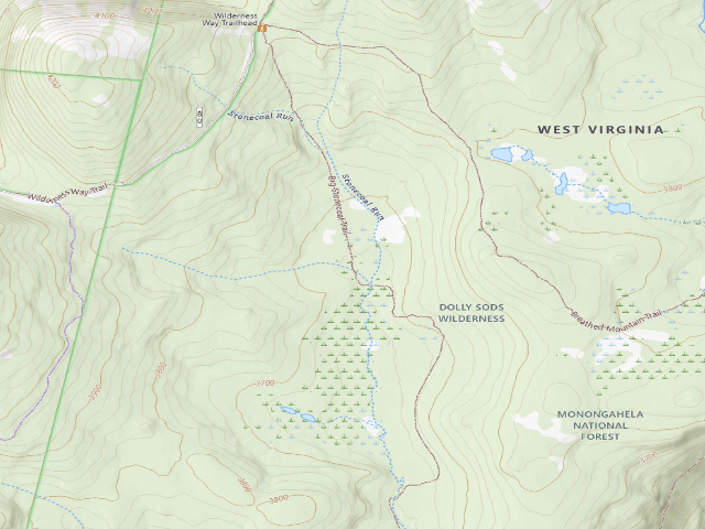 USGS topographic map of Dispersed camp #5 — Tucker County, WV