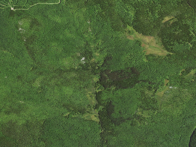 Aerial image of Dispersed camp #6 — Tucker County, WV