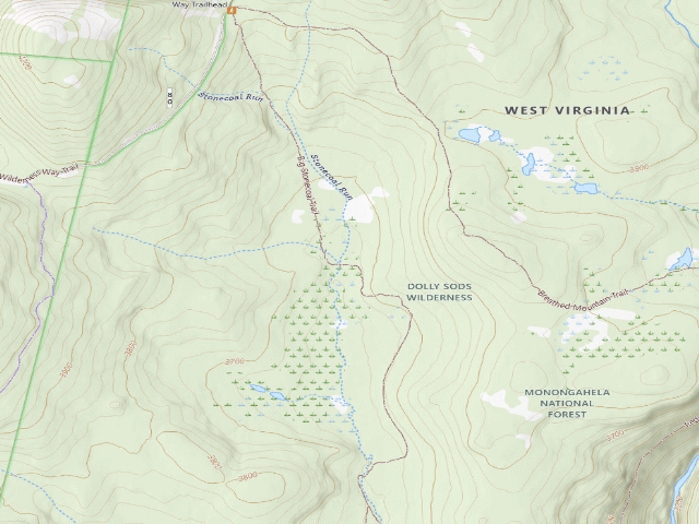 USGS topographic map of Dispersed camp #6 — Tucker County, WV