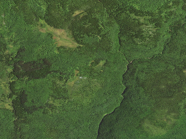 Aerial image of Dispersed camp #7 — Tucker County, WV