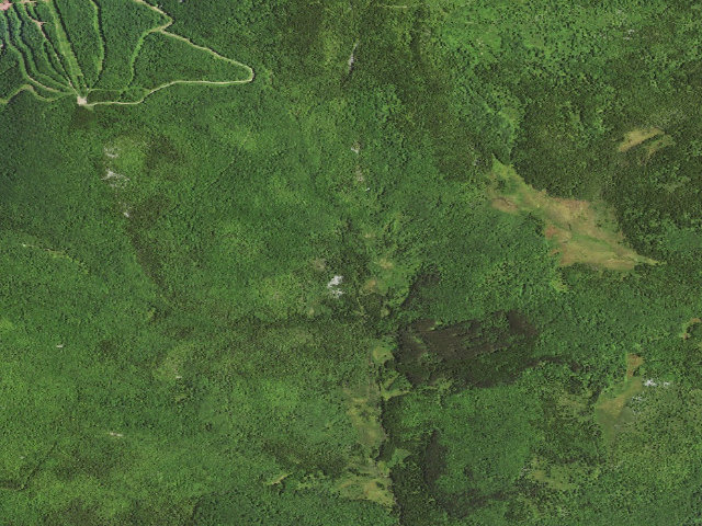 Aerial image of Dispersed camp #8 — Tucker County, WV