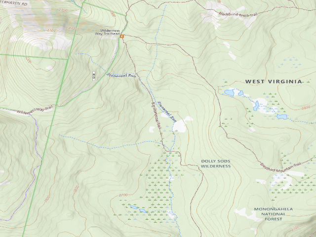 USGS topographic map of Dispersed camp #8 — Tucker County, WV