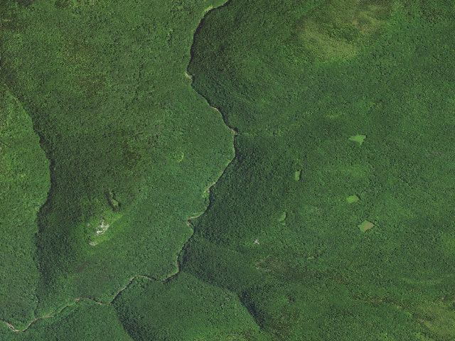 Aerial image of Dispersed camp #9 — Tucker County, WV