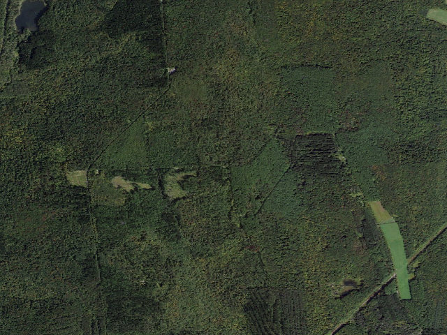 Aerial image of Dispersed camp — Cortland County, NY