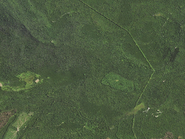 Aerial image of Dispersed camp — Sullivan County, PA
