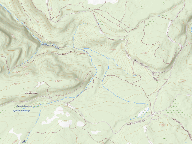 USGS topographic map of Dispersed camp — Sullivan County, PA