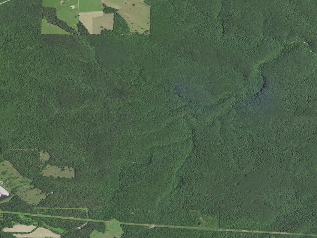 Aerial image of Dispersed camp — Texas County, MO