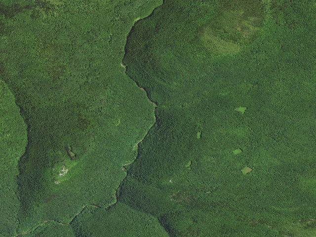 Aerial image of Dispersed camp — Tucker County, WV