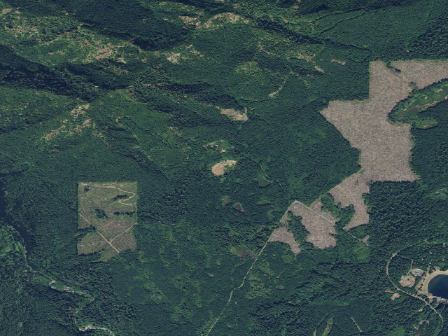 Aerial image of Dispersed Camping Area