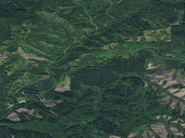 Aerial image of Dispersed Camping Area
