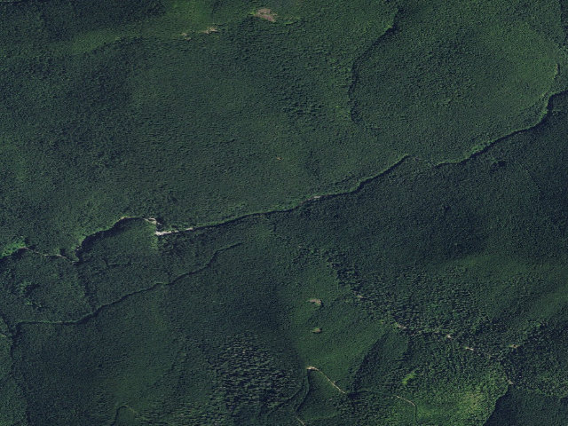 Aerial image of Dispersed Camping