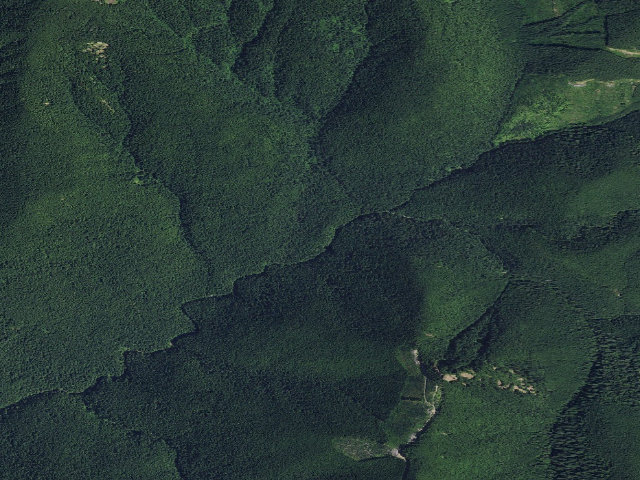 Aerial image of Dispersed Camping