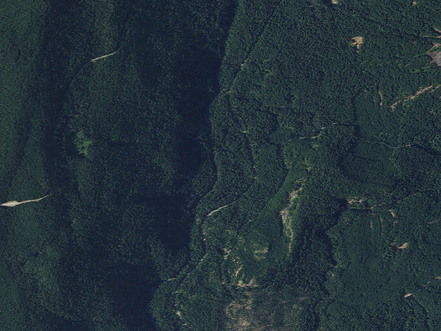 Aerial image of Dispersed Camping