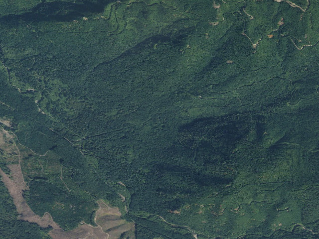Aerial image of Dispersed Camping