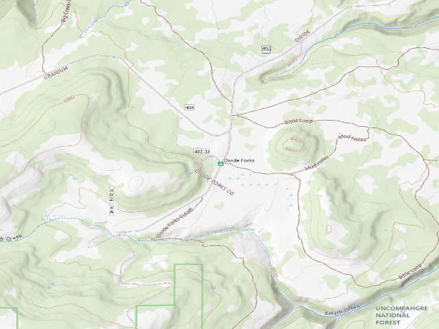 USGS topographic map of Divide Forks