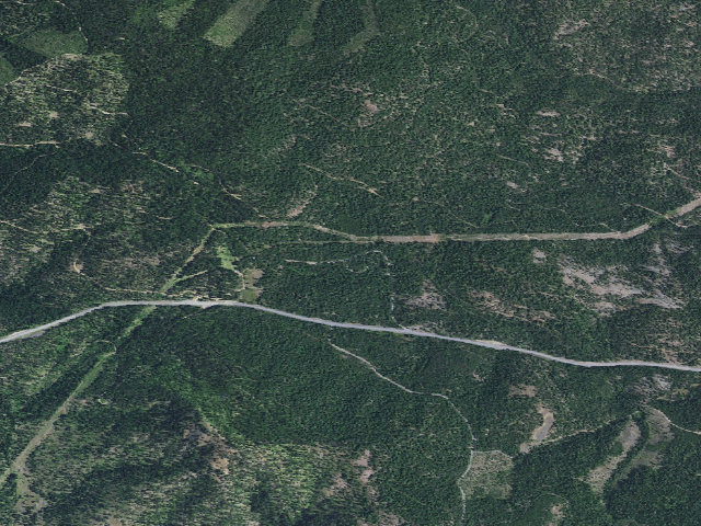 Aerial image of Dixie