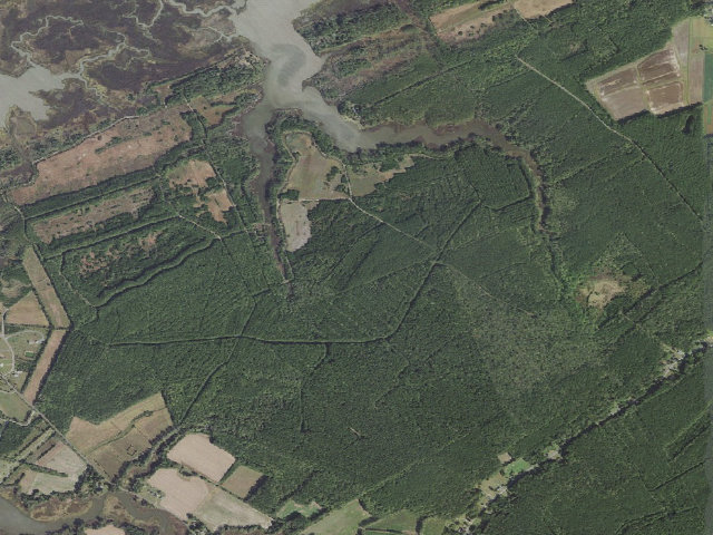 Aerial image of Doe Creek WMA