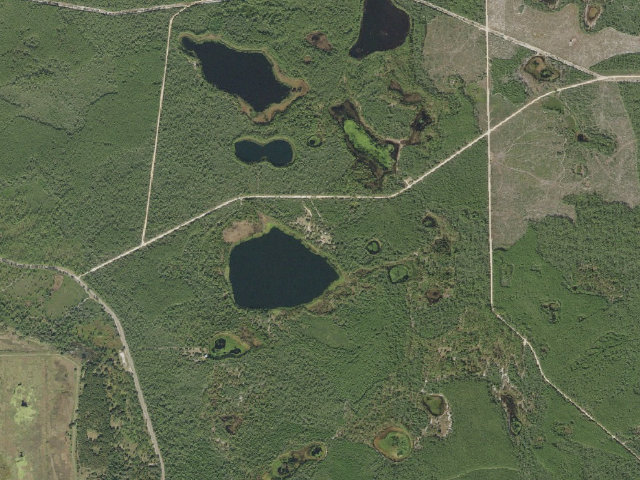 Aerial image of Doe Lake