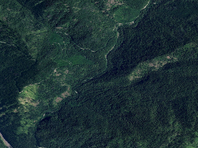 Aerial image of Dog Creek Camp