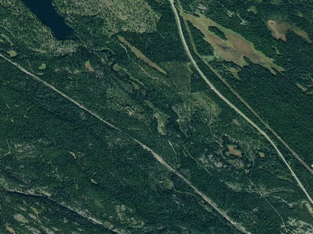 Aerial image of Dog Lake 1