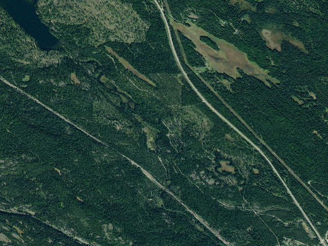 Aerial image of Dog Lake 4
