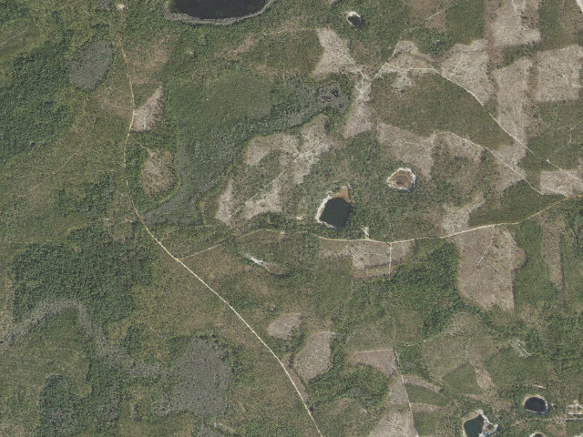 Aerial image of Dog Lake Day Use Area