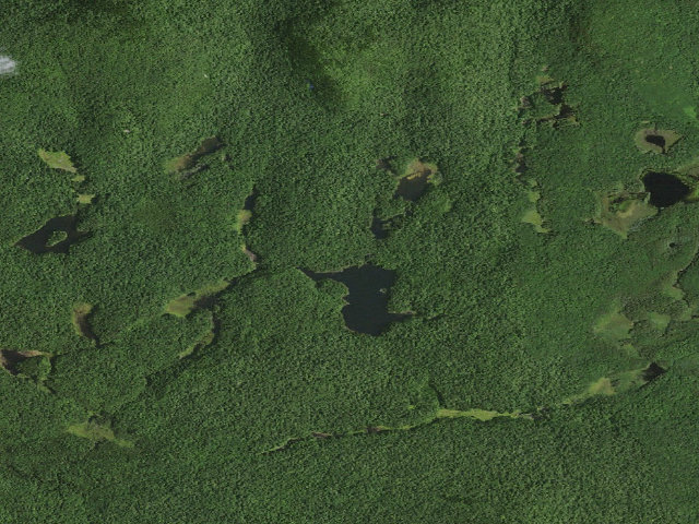 Aerial image of Dog Pond Campsite 1 (Cranberry Lake Wild Forest)