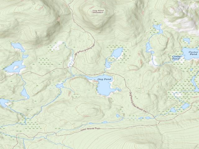 USGS topographic map of Dog Pond Campsite 1 (Cranberry Lake Wild Forest)
