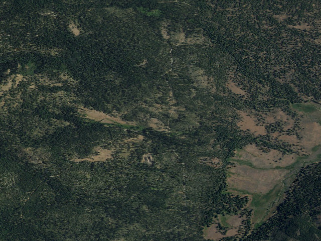 Aerial image of Dog Valley Campground