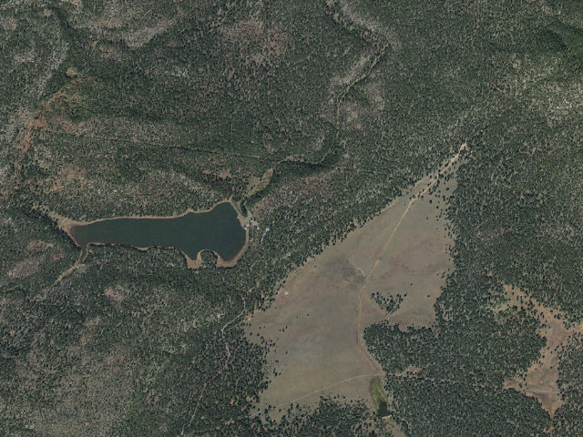 Aerial image of Dogtown Lake Campground
