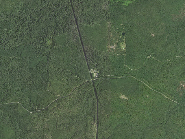 Aerial image of Dogwood Camp
