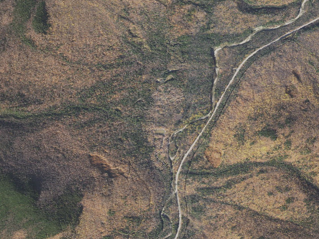 Aerial image of Dolly Copp Campground