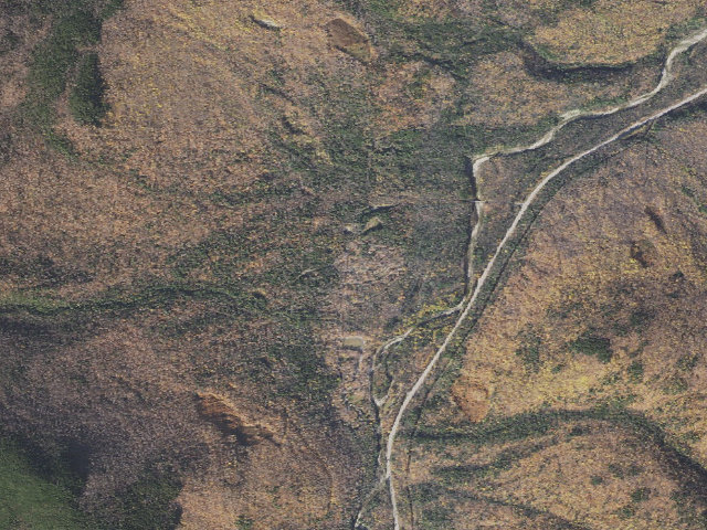 Aerial image of Dolly Copp