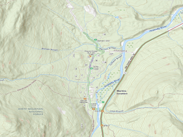 USGS topographic map of Dolly Copp