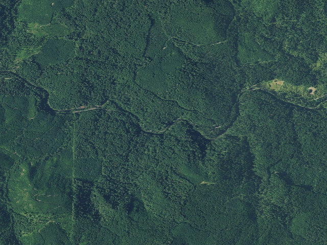 Aerial image of Dolly Varden