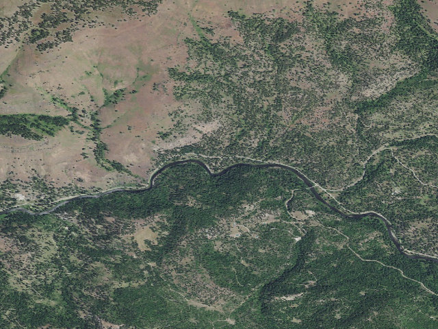 Aerial image of Driftwood