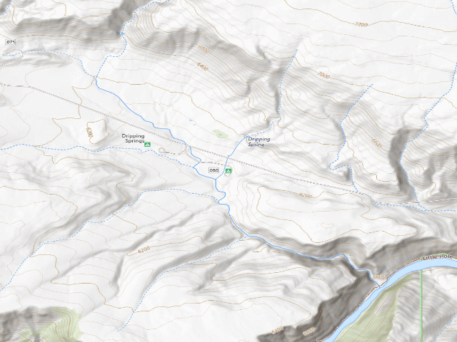 USGS topographic map of Dripping Springs Complex