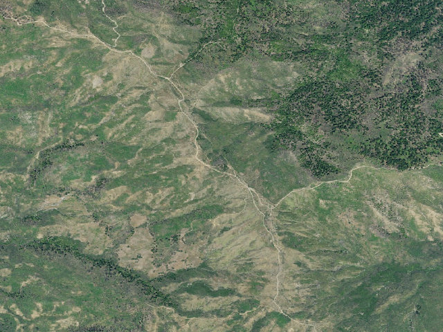 Aerial image of Dry Oak