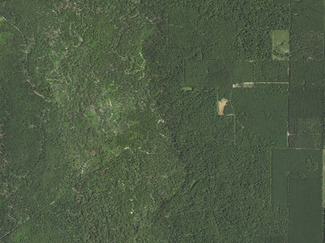 Aerial image of Duck Dam Primitive Camping