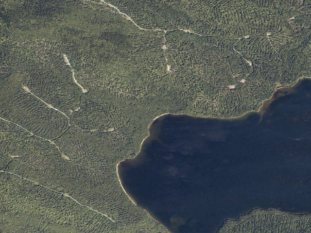 Aerial image of Duck Mountain (Duck Lake Public Land)