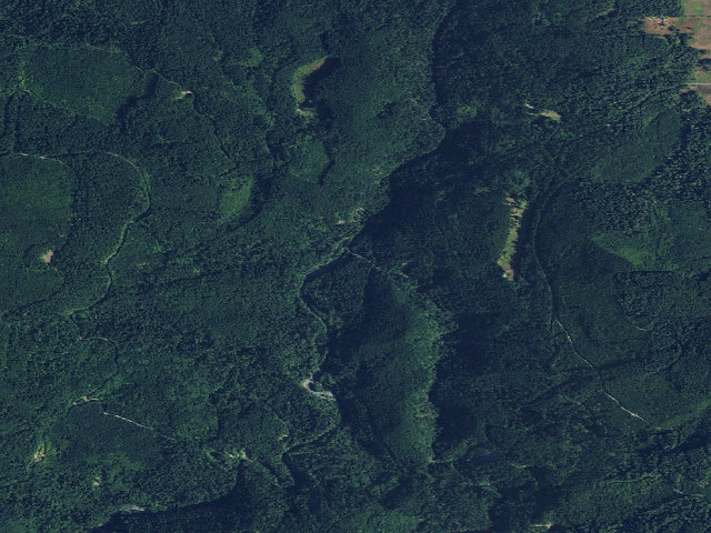 Aerial image of Dungeness Forks Campground