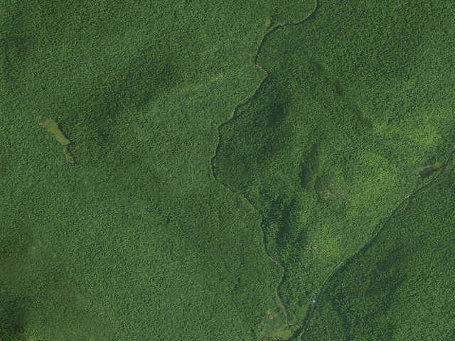 Aerial image of E. Branch Gorge Campsite (Siamese Ponds Wilderness)