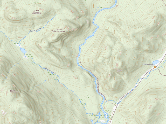 USGS topographic map of E. Branch Gorge Campsite (Siamese Ponds Wilderness)
