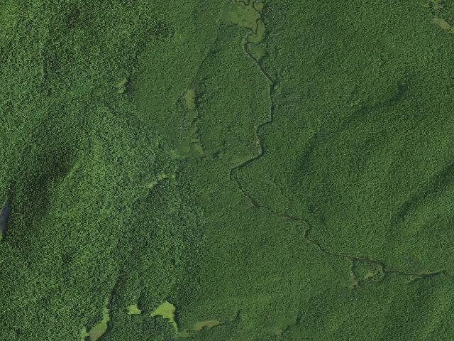Aerial image of E. Sacandaga River Site West (Siamese Ponds Wilderness)