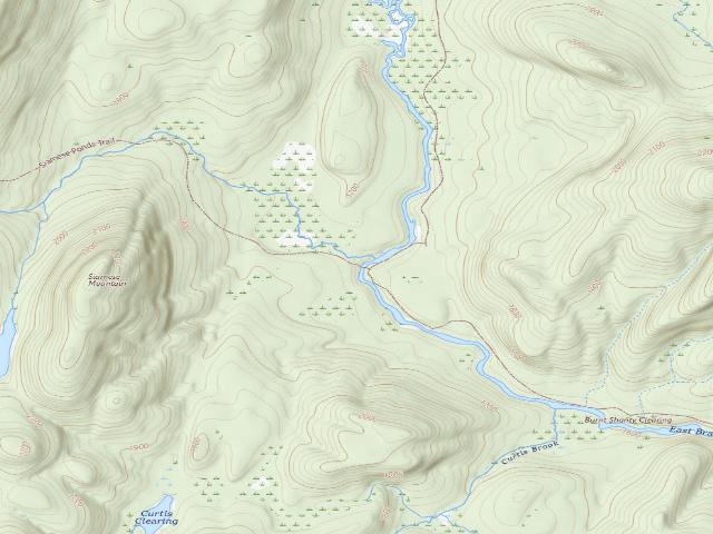 USGS topographic map of E. Sacandaga River Site West (Siamese Ponds Wilderness)