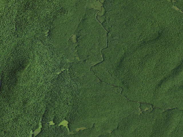 Aerial image of E. Sacandaga Site East (Siamese Ponds Wilderness)