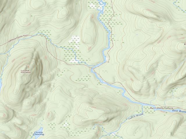 USGS topographic map of E. Sacandaga Site East (Siamese Ponds Wilderness)