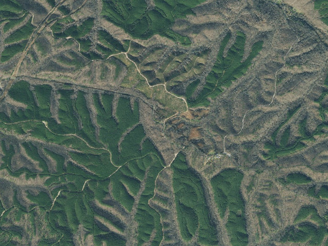 Aerial image of Eagle Creek WMA - Primitive Camping Area
